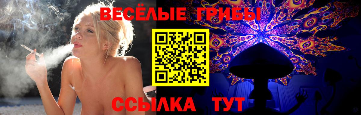 Алапаевск  Псилоцибиновые грибы прущие грибы  купить наркотик  Вход с VPN 